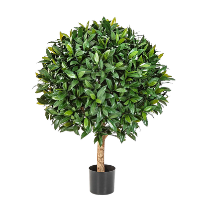 Künstlicher Lorbeer - Tessa auf transparentem Hintergrund mit echt wirkenden Kunstblättern. Diese Kunstpflanze gehört zur Gattung/Familie der "Lorbeeren" bzw. "Kunst-Lorbeeren".