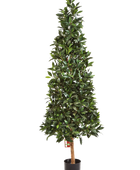 Künstliche Lorbeer - Teresa auf transparentem Hintergrund mit echt wirkenden Kunstblättern in natürlicher Anordnung. Künstliche Lorbeer - Teresa hat die Farbe Natur und ist 140 cm hoch. | aplanta Kunstpflanzen