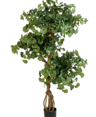 Künstlicher Ginkgo - Tino auf transparentem Hintergrund mit echt wirkenden Kunstblättern. Diese Kunstpflanze gehört zur Gattung/Familie der 