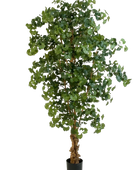 Künstlicher Ginkgo - Tamino auf transparentem Hintergrund mit echt wirkenden Kunstblättern. Diese Kunstpflanze gehört zur Gattung/Familie der 