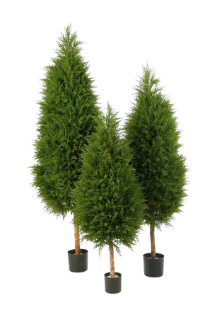 Künstliche Zypresse - Pepe auf transparentem Hintergrund mit echt wirkenden Kunstblättern in natürlicher Anordnung. Künstliche Zypresse - Pepe hat die Farbe Natur und ist 120 cm hoch. | aplanta Kunstpflanzen