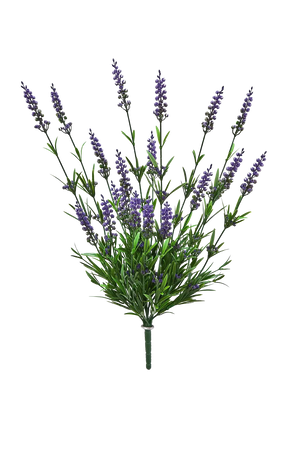 Künstlicher Lavendel - Merle auf transparentem Hintergrund mit echt wirkenden Kunstblättern in natürlicher Anordnung. Künstlicher Lavendel - Merle hat die Farbe Lavendel und ist 52 cm hoch. | aplanta Kunstpflanzen