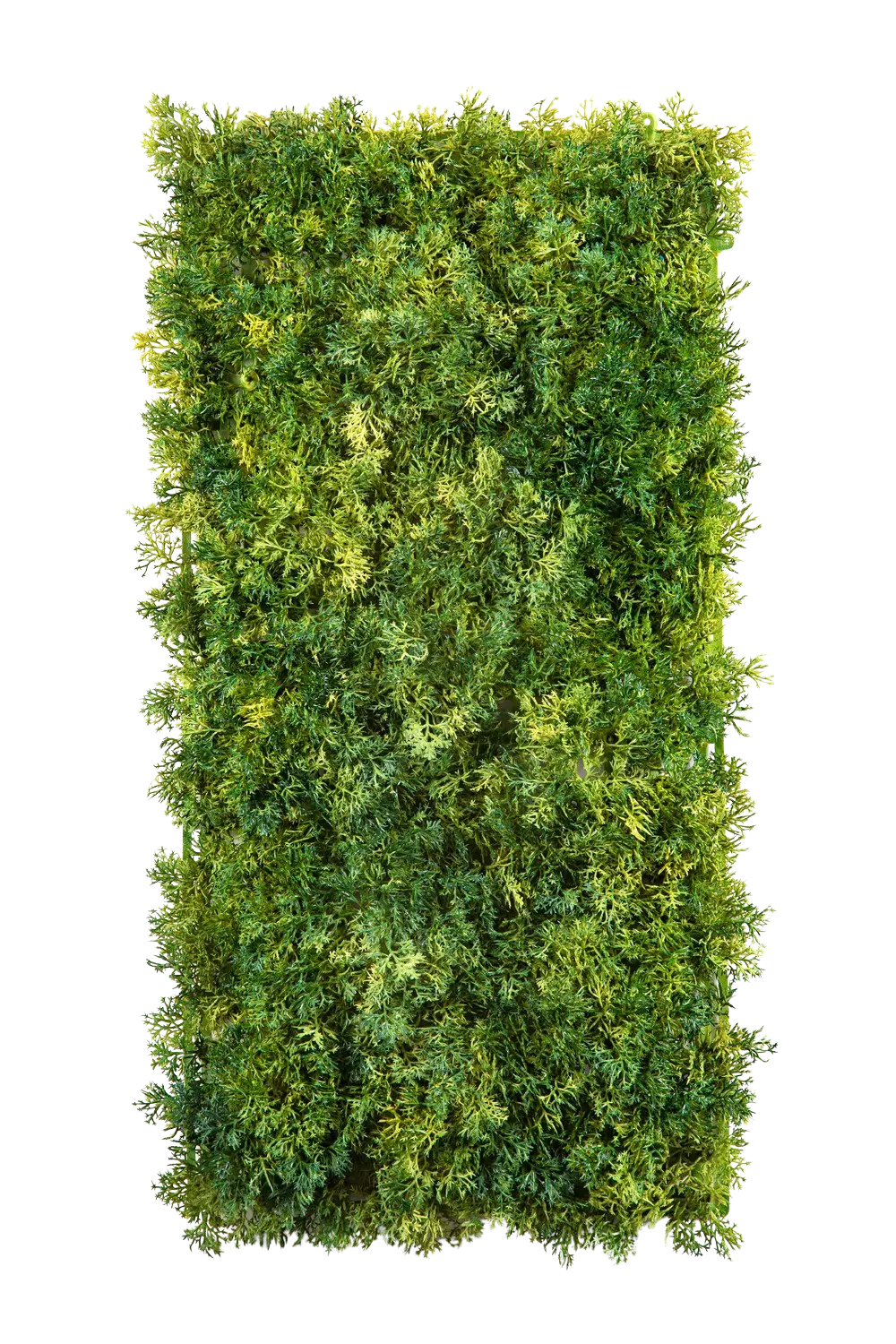 Künstlicher Moos Teppich - Martin auf transparentem Hintergrund mit echt wirkenden Kunstblättern. Diese Kunstpflanze gehört zur Gattung/Familie der "Moose" bzw. "Kunst-Moose".