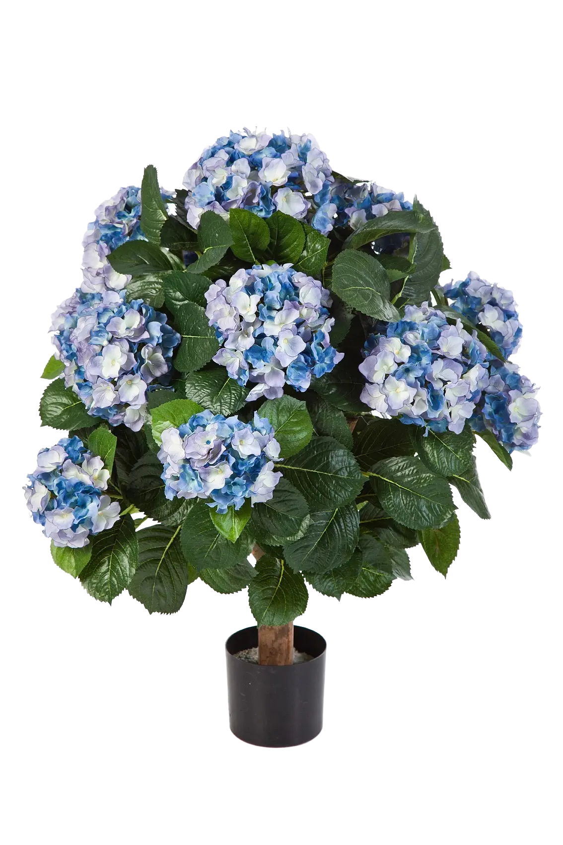 Hochwertige Hortensie künstlich auf transparentem Hintergrund mit echt wirkenden Kunstblättern in natürlicher Anordnung. Künstliche Hortensie - Naomi hat die Farbe Blau und ist 62 cm hoch. | aplanta Kunstpflanzen