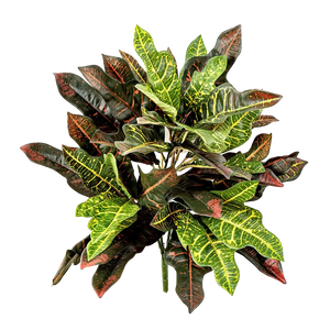 Künstliche Krebsblume - Selma | 50 cm auf transparentem Hintergrund mit echt wirkenden Kunstblättern in natürlicher Anordnung. | aplanta Kunstpflanzen