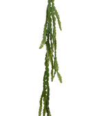 Epiphyllum hanging bush 110cm auf transparentem Hintergrund mit echt wirkenden Kunstblättern in natürlicher Anordnung. | aplanta Kunstpflanzen