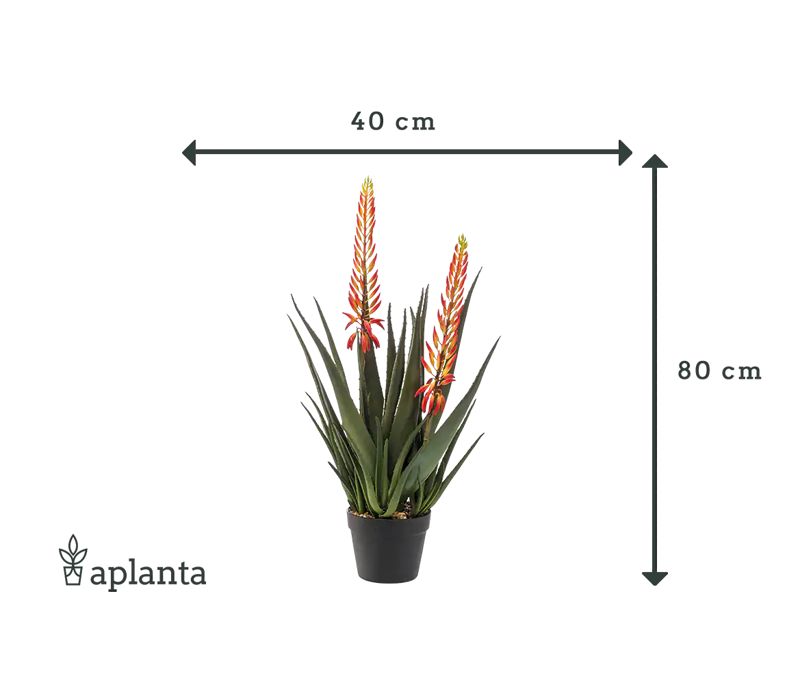 Künstliche Aloe - Paulina | 80 cm