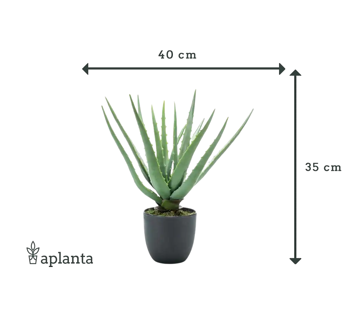 Künstliche Aloe - Penelope, 35 cm, Kunstpflanze von aplanta, im schwarzen Topf, in Natur, für drinnen