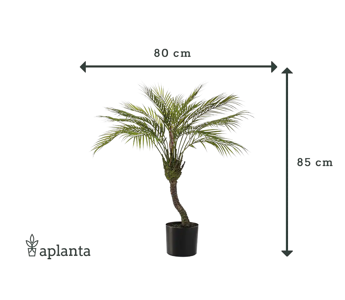 Künstliche Bergpalme - Nelly | 85 cm