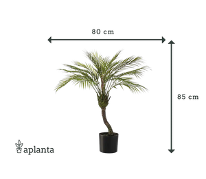 Künstliche Bergpalme - Nelly | 85 cm