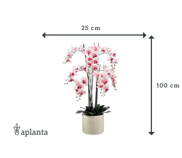 Künstliche Orchidee - Leo | 100 cm