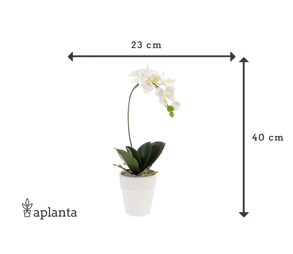 Künstliche Orchidee - Linus | 40 cm