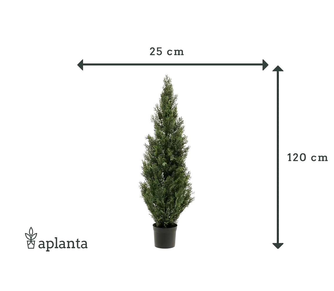 120 cm