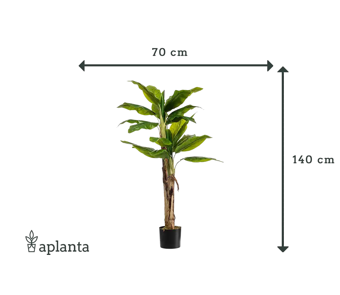 Künstlicher Bananenbaum - Can | 140 cm