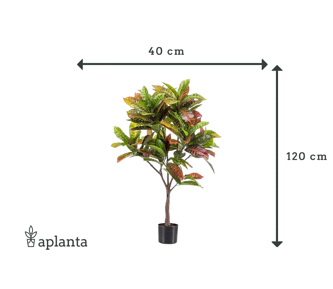 Künstlicher Croton - Julie | 120 cm