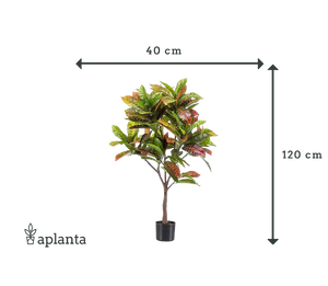 Künstlicher Croton - Julie | 120 cm