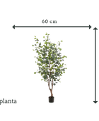 Künstlicher Eucalyptus Baum - Christopher | 140 cm