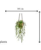 Künstlicher Hänge-Zierspargel - Klaas | 65 cm