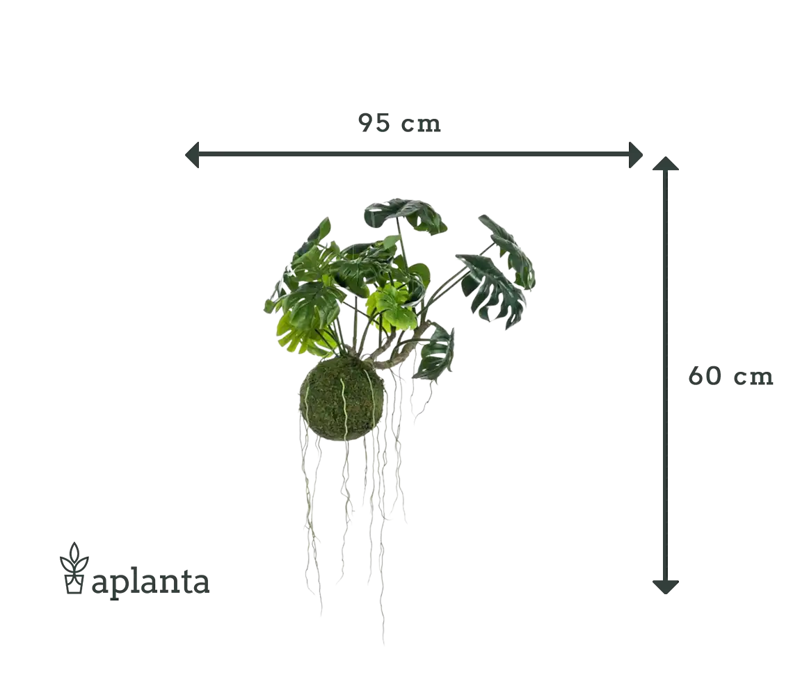 Künstlicher Hänge Monstera Moos Ball - Julian | 60 cm