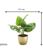 Künstlicher Monstera Busch - Lotte | 30 cm
