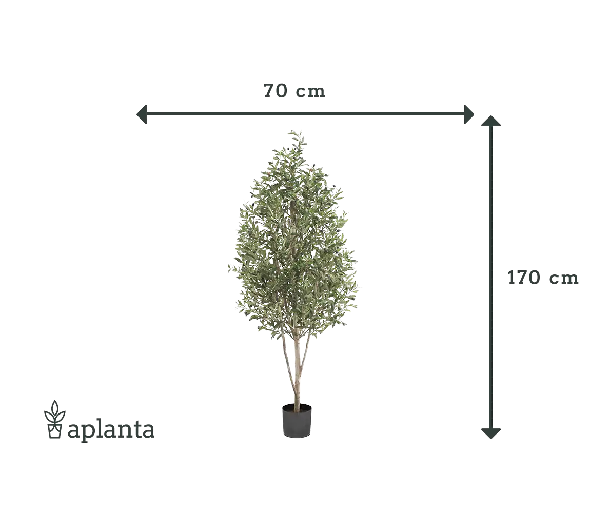 Künstlicher Olivenbaum - Cheyenne | 170 cm