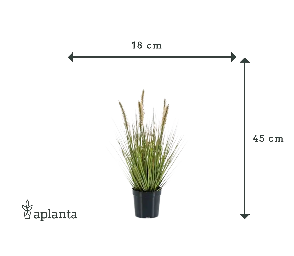 Künstliches Lampenputzergras - Paulin | 45 cm