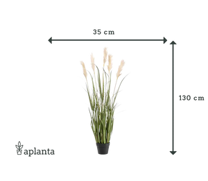 Künstliches Pampasgras - Luis | 130 cm