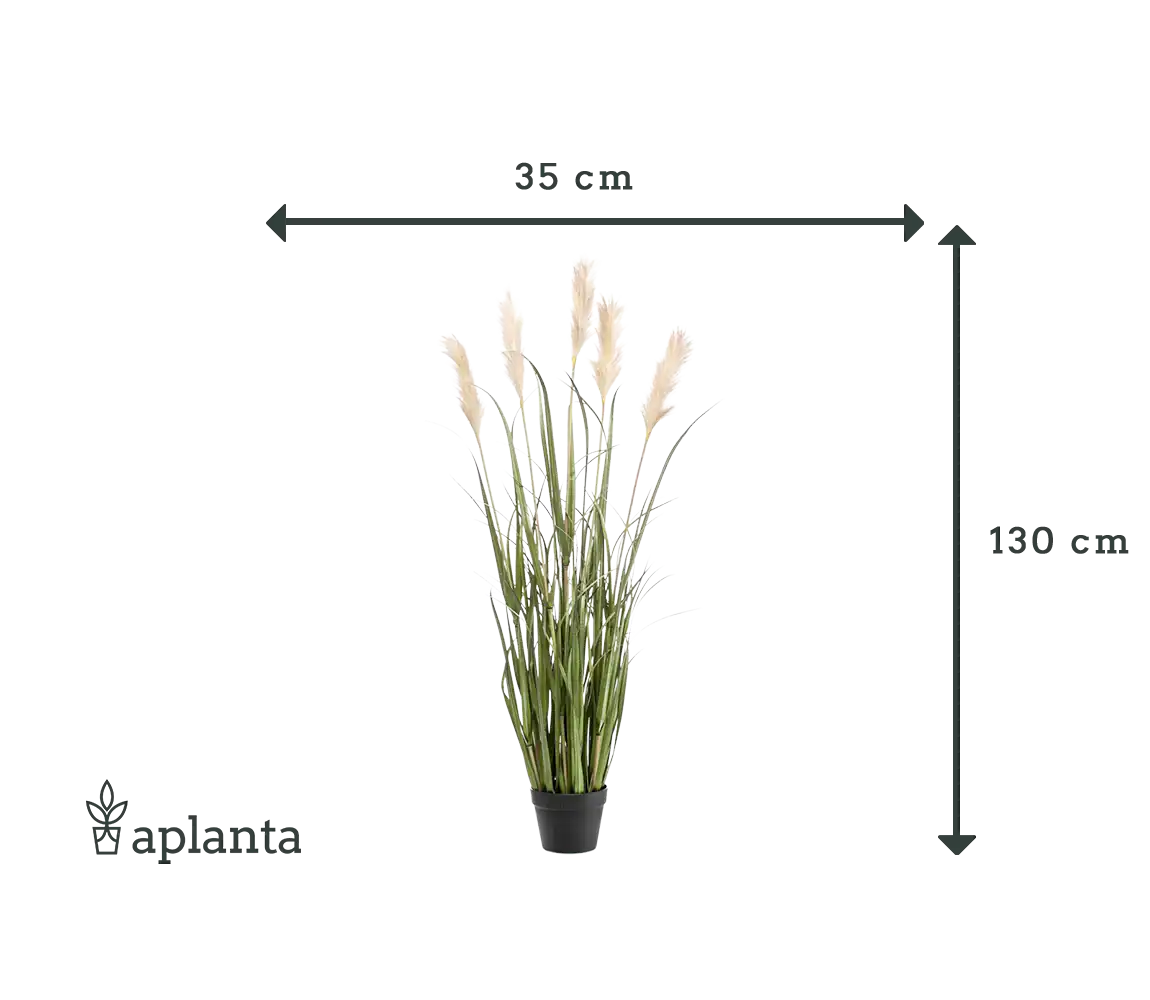 Künstliches Pampasgras - Luis | 130 cm