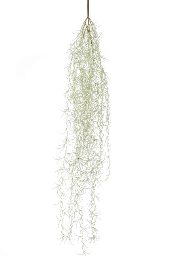 Tillandsia hair bush 85cm grey auf transparentem Hintergrund mit echt wirkenden Kunstblättern in natürlicher Anordnung. Tillandsia hair bush 85cm grey hat die Farbe Natur und ist 85 cm hoch. | aplanta Kunstpflanzen